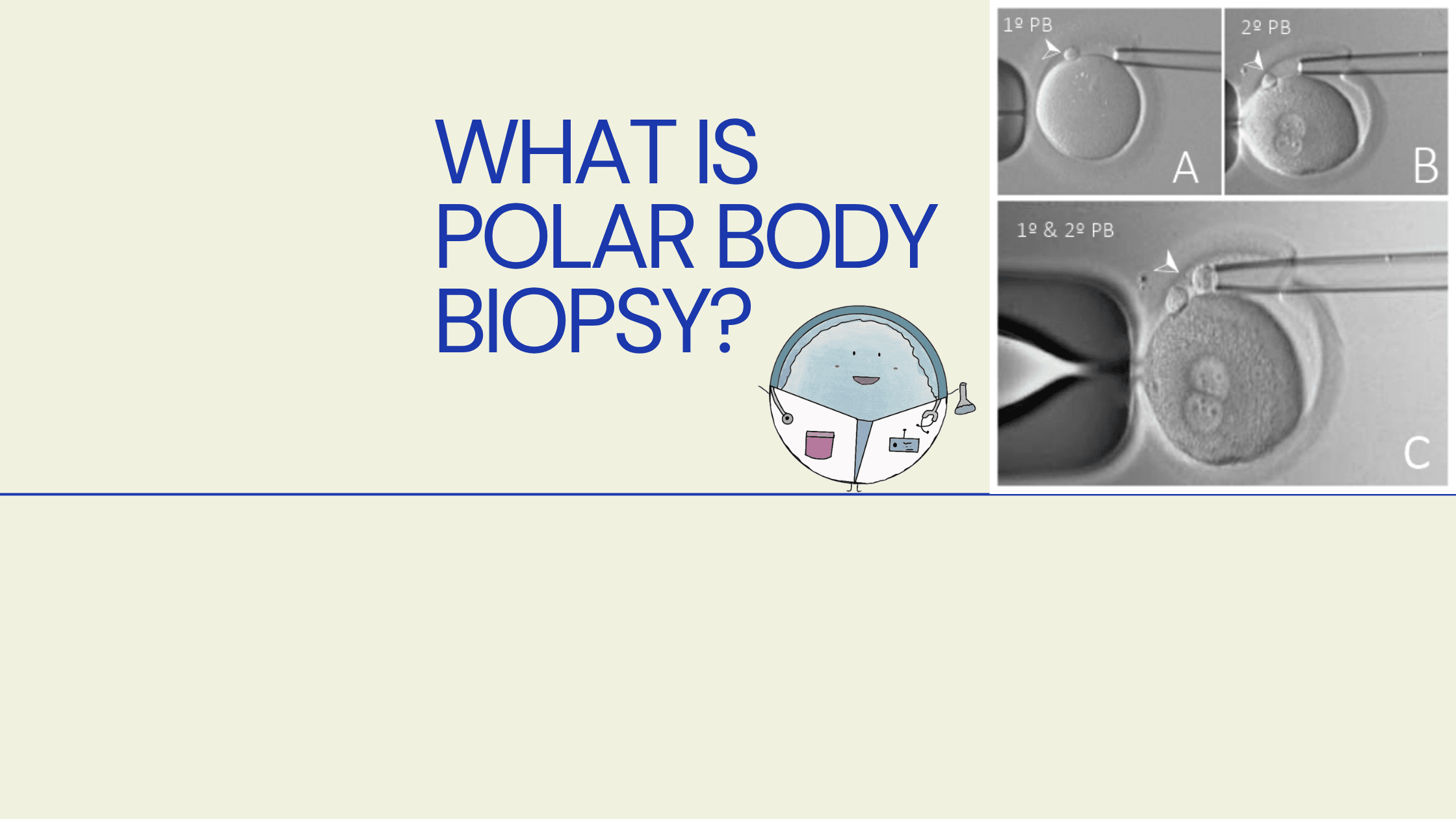 What is Polar Body Biopsy and How is It Done?