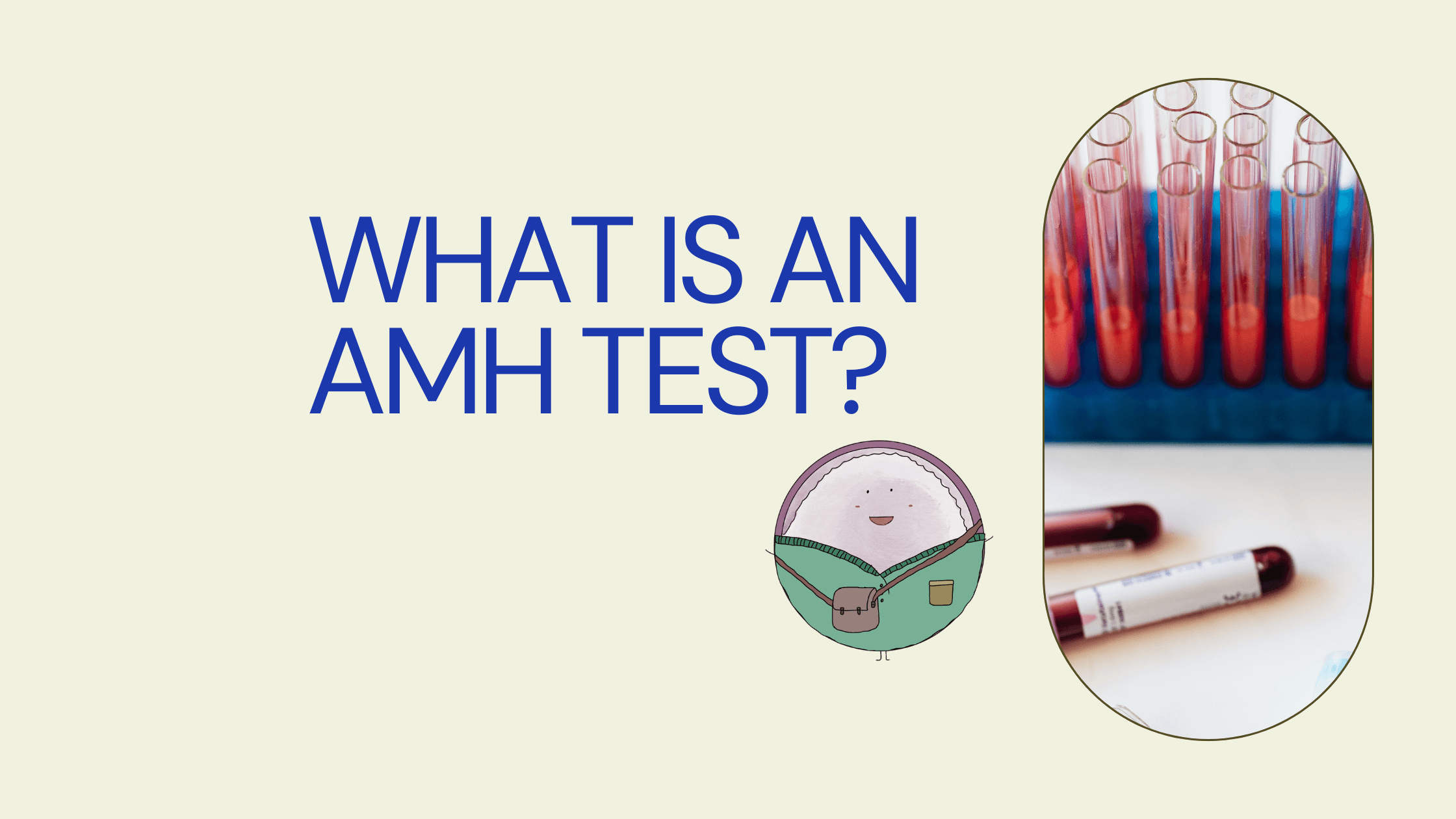 What is AMH test: Who It's For & How it it Helps 
