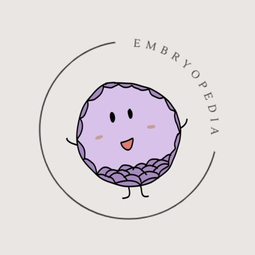 embryopedia logo