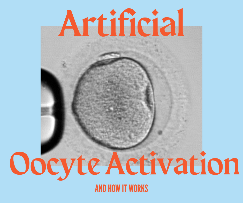 What is Artificial Oocyte Activation and How Does it Work?