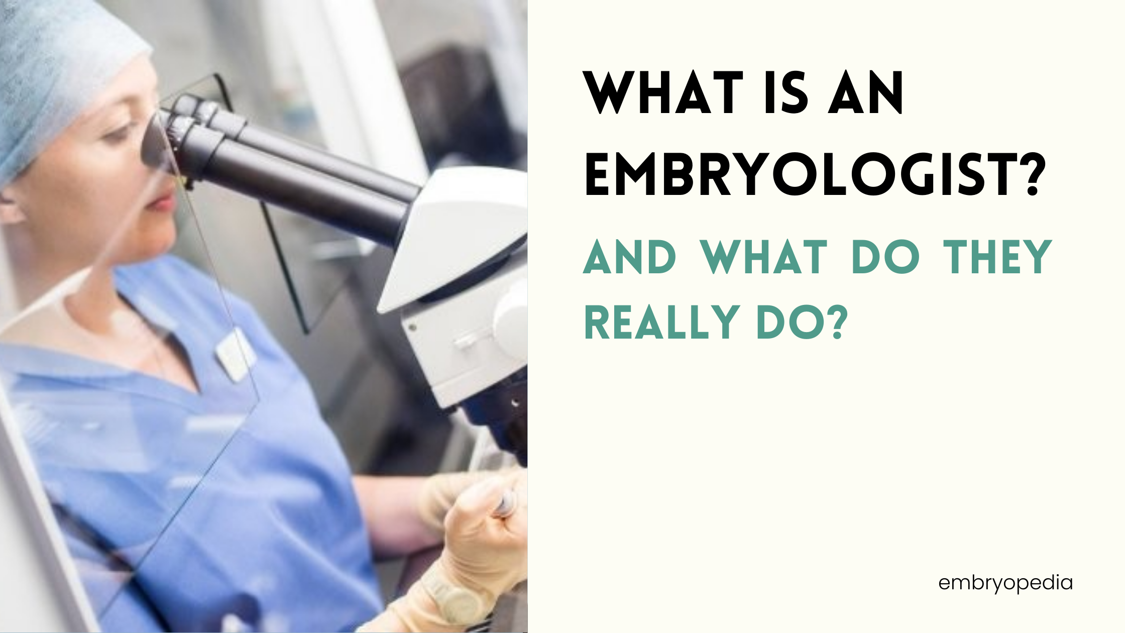 what is an embryologist